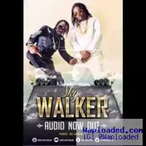 Radio & Weasel - SkyWalker